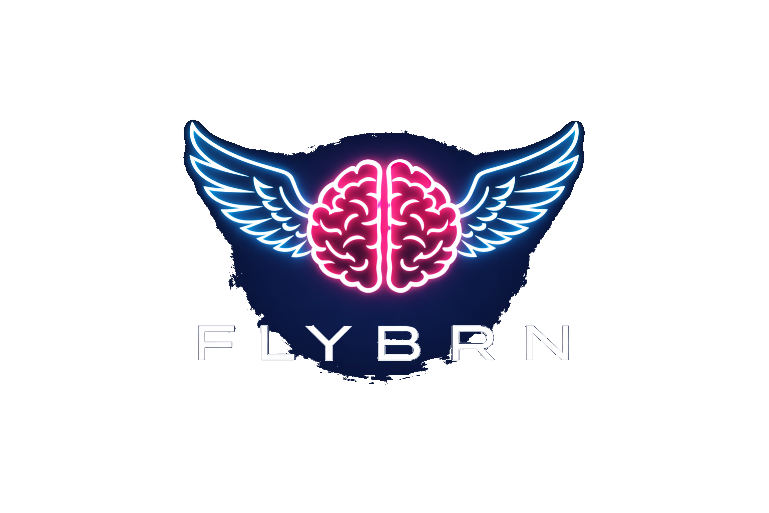 F L Y B R N™ logo